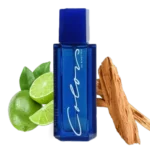 Perfume Colors de Benetton para hombre con notas de limón, cedro y sándalo