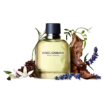 Perfume Dolce&Gabbana Pour Homme para hombre con notas de cítricos, lavanda y tabaco