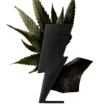 Perfume Bad Boy Le Parfum