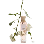 Perfume Agua Fresca de Rosas Blancas de Adolfo Dominguez para Mujer con yuzu, toronja, cedro y rosas