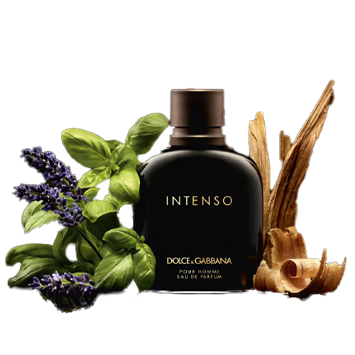 Perfume Intenso de Dolce Gabbana para hombre con notas de lavanda, tabaco y sándalo
