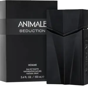 Seduction Homme - 100 ml - Eau de Toilette