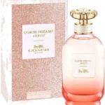 Dreams New York X Dama