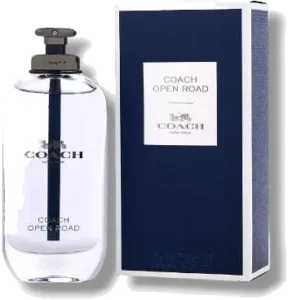 Open Road - 100 ml - Eau de Toilette