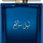 The One Luminous Night