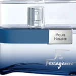 F Black Pour Homme De Salvatore X