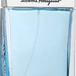 Subtil Pour Homme De Salvatore