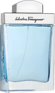 Subtil Pour Homme De Salvatore - 100 ml - Eau de Toilette