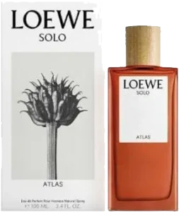 Solo 2021 - 100 ml - Eau de Toilette