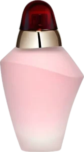 Volupté Tendre - 100 ml - Eau de Toilette