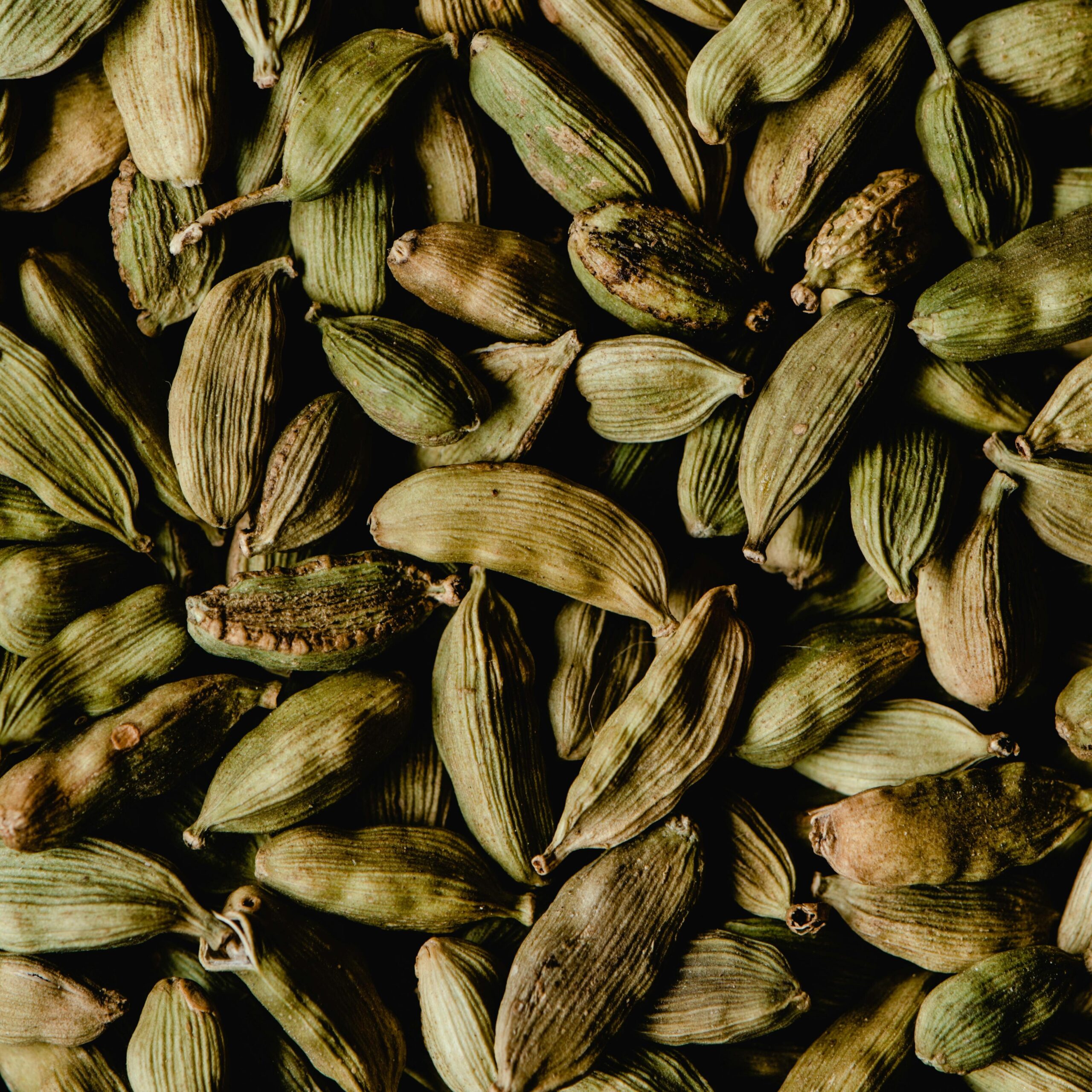 Cardamomo