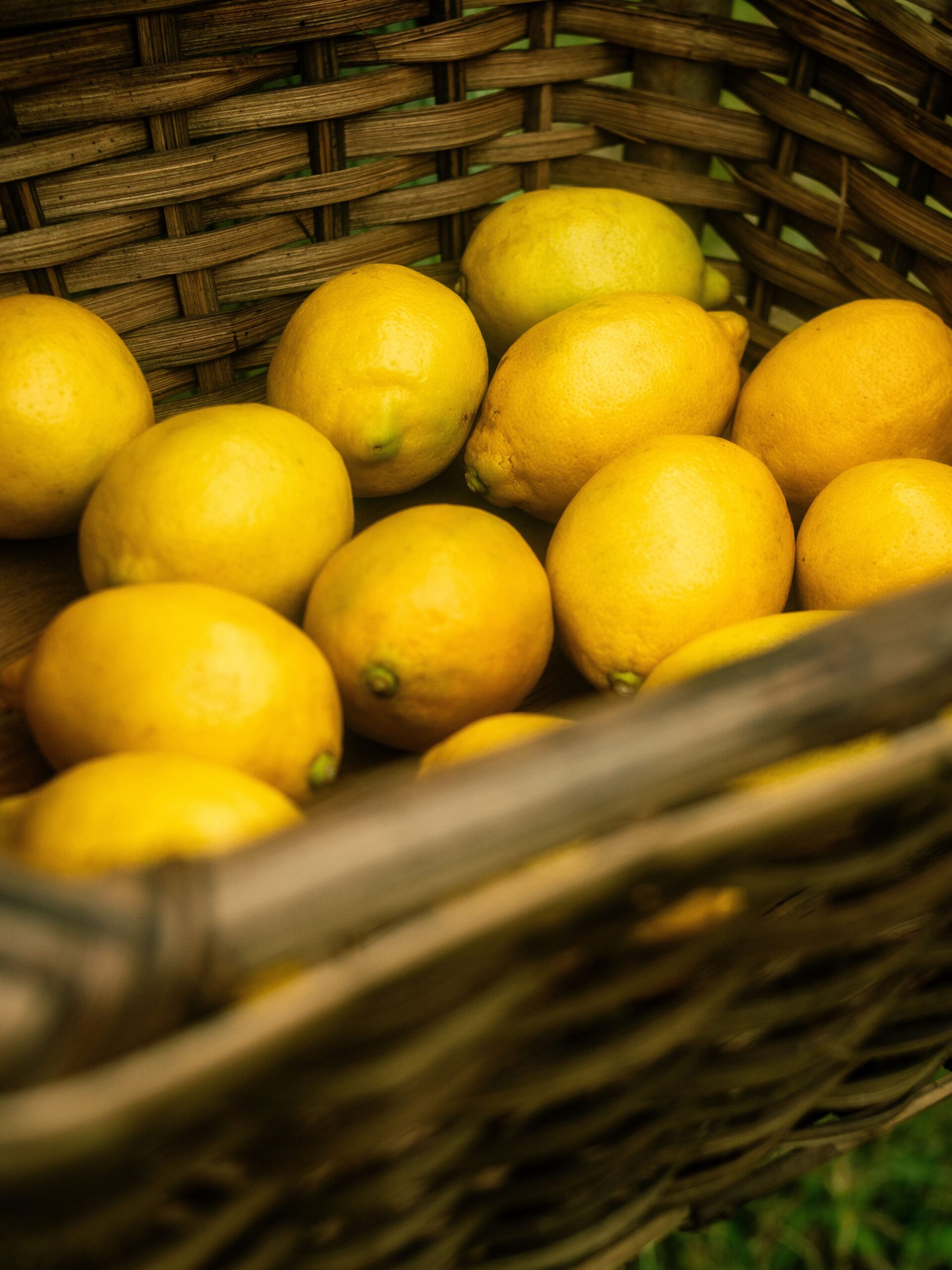 Limón